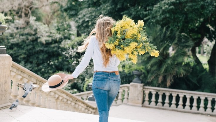 Meteo, mimose in fiore ormai da 2 mesi, sempre più caldo nei prossimi giorni