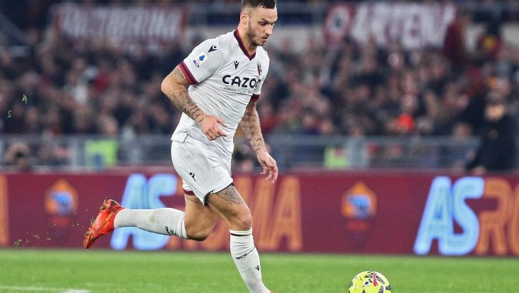 Salernitana-Bologna, dove vedere la partita in tv