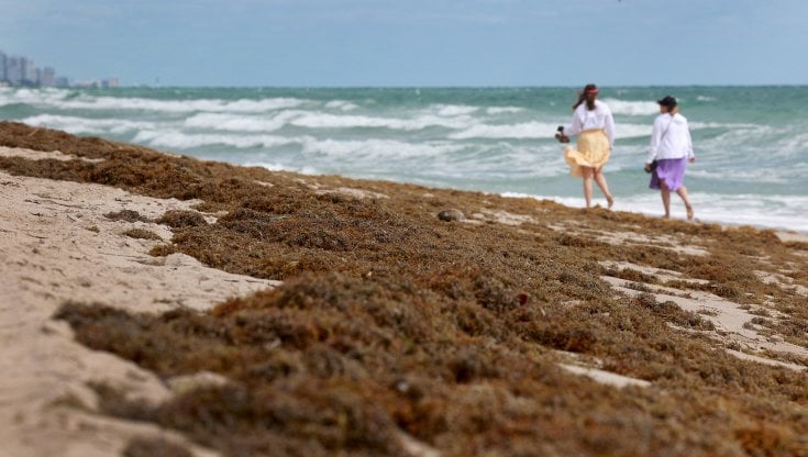 Oceani, l'Italia dia l'esempio