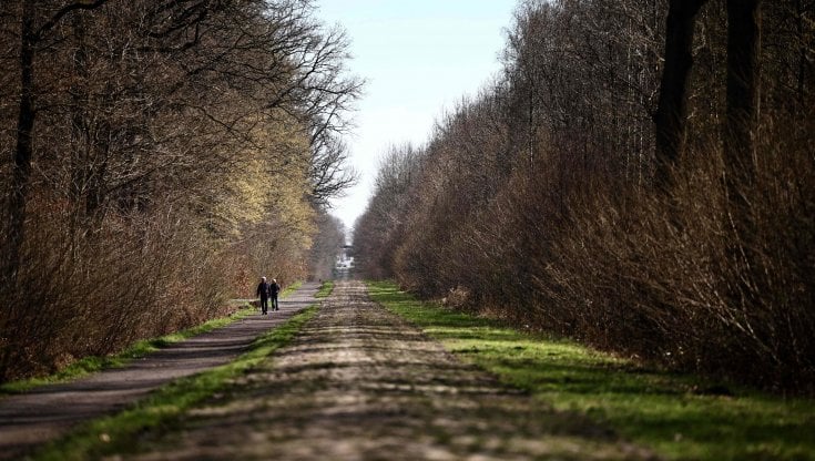 La Foresta di Arenberg