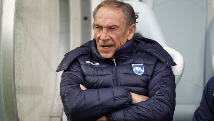 Zeman