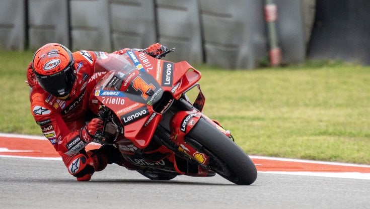 Pecco Bagnaia