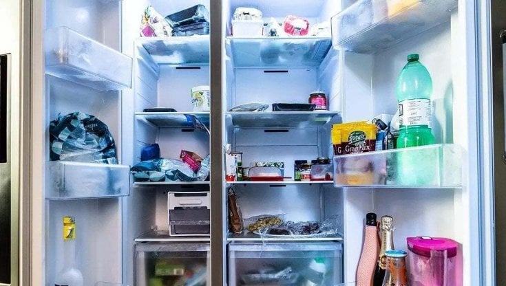 Giornata della Terra, cibo: lo spreco inizia nel frigorifero