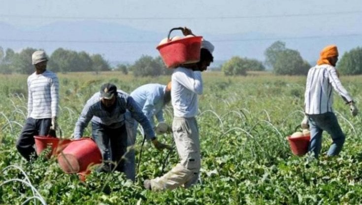 L’odore del lavoro