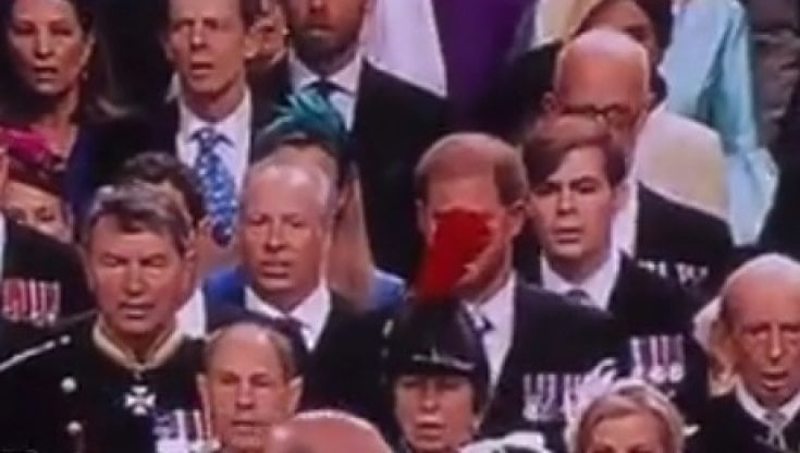 La piuma del cappello di Anna davanti al viso di Harry a Westminster