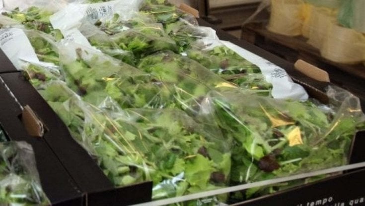"Rischio stop per l'insalata in busta", l'allarme della Coldiretti sul nuovo regolamento Ue sugli imballaggi