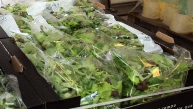 Fuori busta, l'insalata torna green
