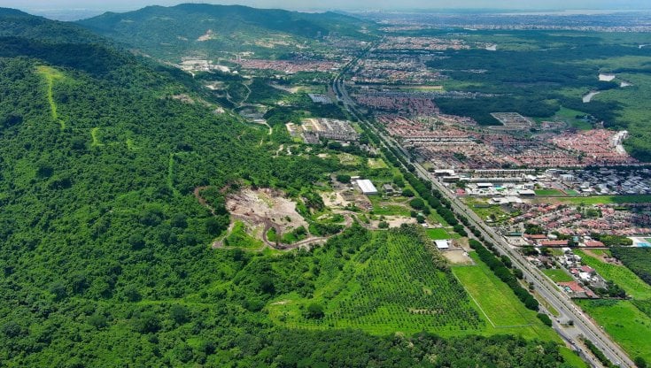 Cerro Blanco l'ultima foresta tropicale secca dell'Ecuador, che il cemento di Guayaquil erode giorno dopo giorno