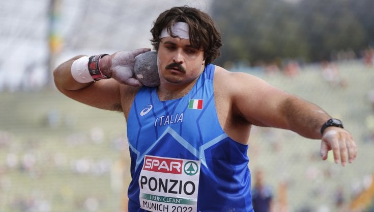 Nick Ponzio