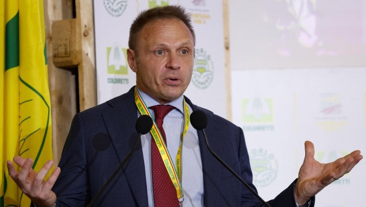 Il ministro dell'Agricoltura Francesco Lollobrigida 