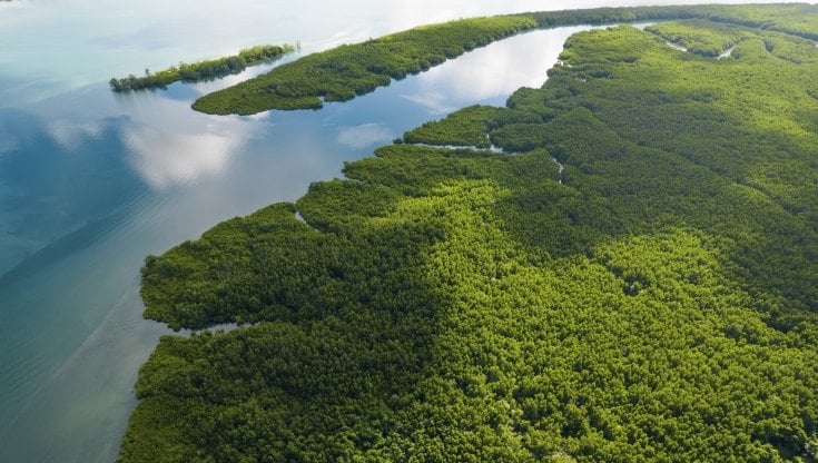 Baruah (Wef): “È necessario investire nella biodiversità”