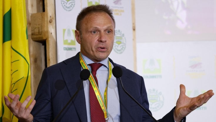 Francesco Lollobrigida
