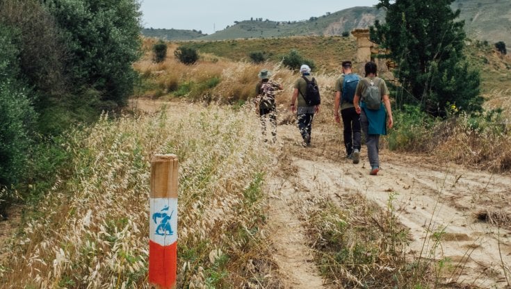 Nella Piana di Gela (foto Daniele Muratore)