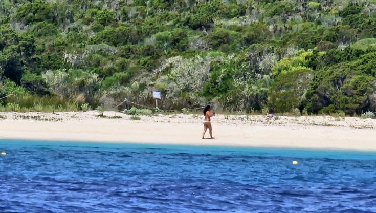 Sardegna, allarme dalla Maddalena. "Turisti tutti i giorni sulla Spiaggia Rosa di Budelli". Area protetta off limits da 30 anni