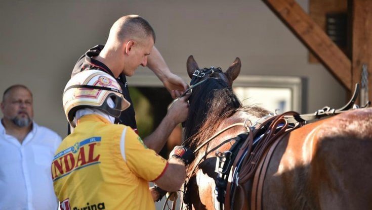 Nikola Jokic con uno dei suoi cavalli e il driver Alessandro Gocciadoro