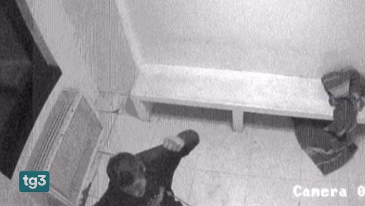 Violenze in questura a Verona, tolti gli arresti all'agente che ha deciso di parlare coi pm