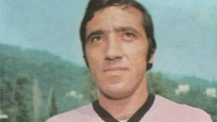 Tanino Troja