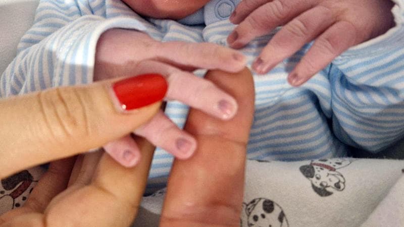 La foto pubblicata su Facebook dall'ex ministra&nbsp;dell'Istruzione Lucia Azzolina con le sue dita che tengono quelle del neonato
