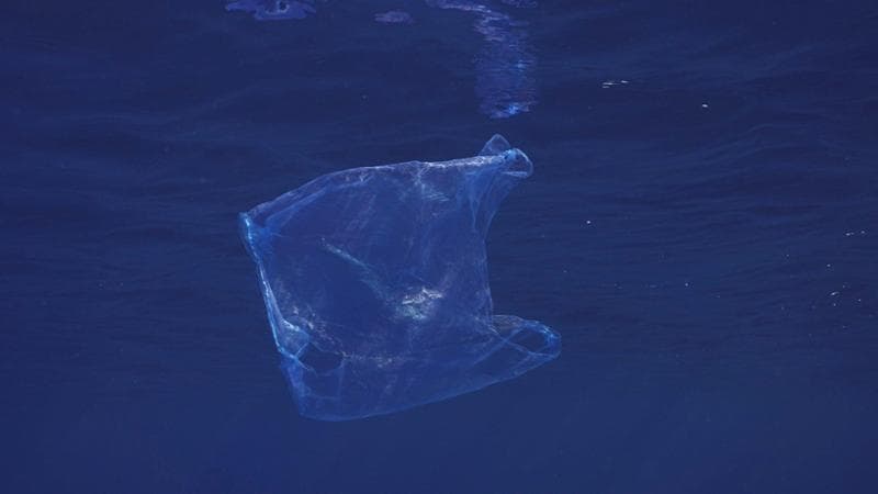 Salvamare, una legge incompleta
