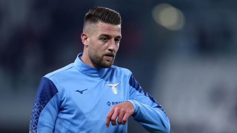 Sergej Milinkovic
