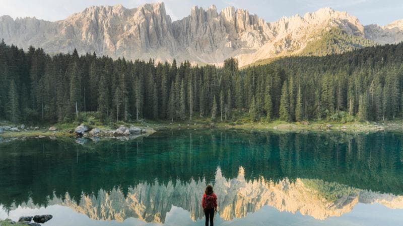 INVITOP Set Costruzioni Insetti – 1063 Pezzi – Farfalla, Ercole E Mantide – Dai 6 Anni
