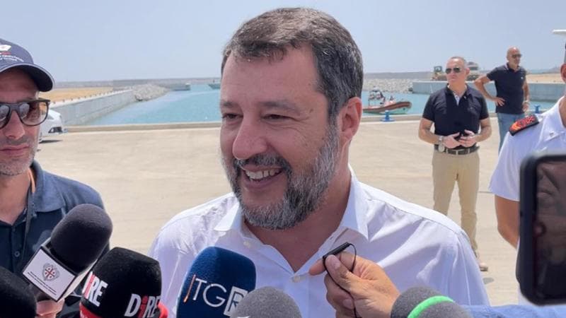 Matteo Salvini&nbsp;
