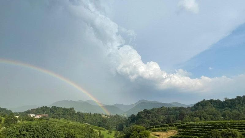 Maltempo in Veneto, a rischio i vigneti di Prosecco: “Perso il 15% del raccolto”