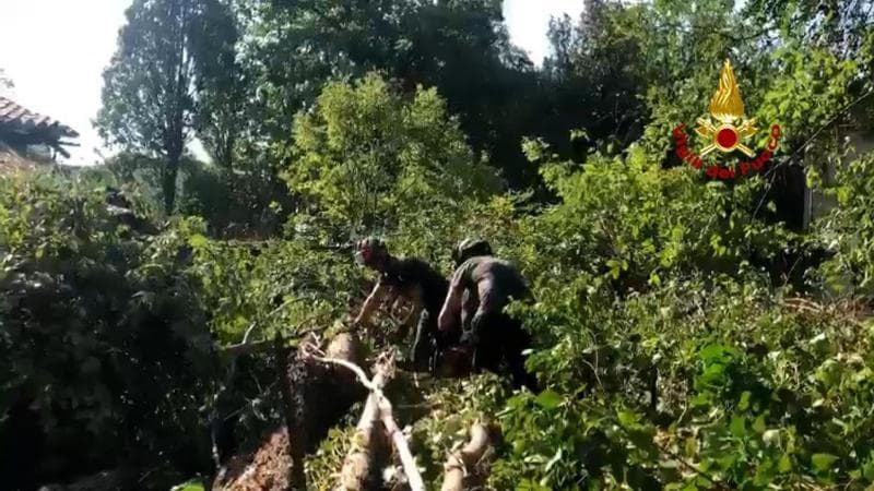 Maltempo in Veneto: 16enne ferito grave, operato per un trauma toracico