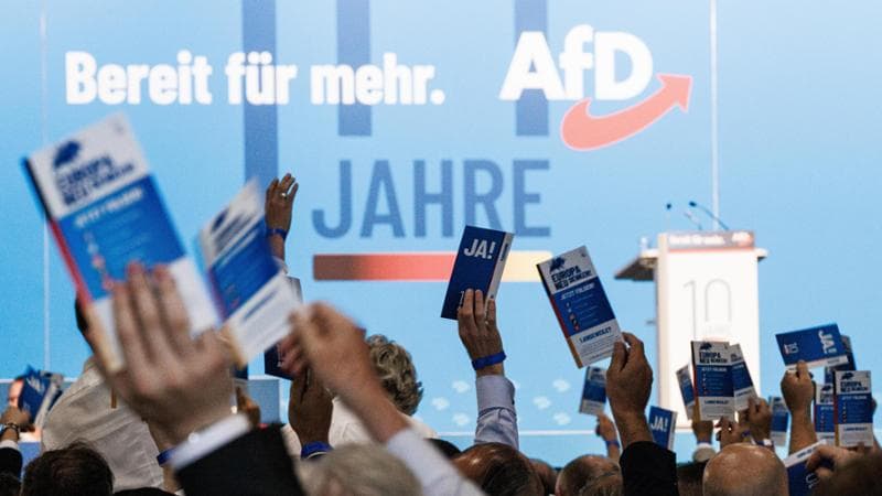 Germania, l’ultradestra frena sul patto europeo con Salvini