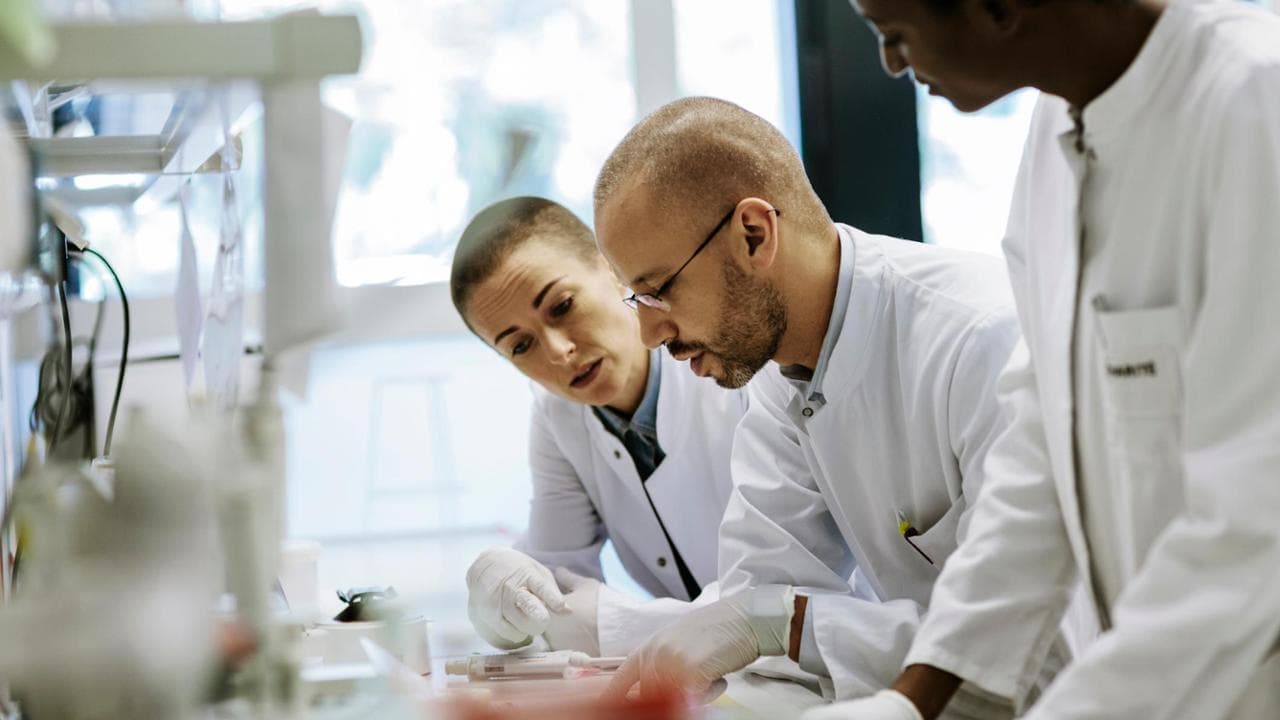 Biotecnologia, sanità digitale e scienze della vita: ecco i lavori del futuro

