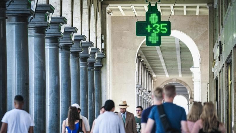 La climatologa Serena Giacomin: “Contro l’afa serve una strategia e più prevenzione”