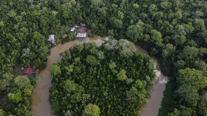 Al via il vertice sull'Amazzonia: conto alla rovescia per salvare il polmone verde del mondo