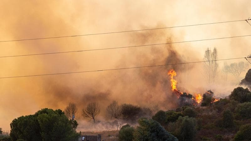 Incendi Sardegna, inizia la conta dei danni: “Dopo siccità, grandine e nubifragi, i piromani hanno devastato la nostra terra”