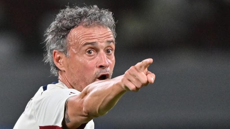 Luis Enrique, nuovo tecnico del Psg
