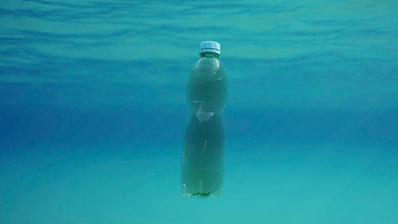Penultimo giorno per l’ecologia