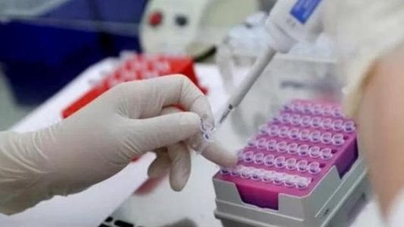 Vendeva sostanze per suicidarsi in tutto il mondo. In Canada a processo il dottor Law