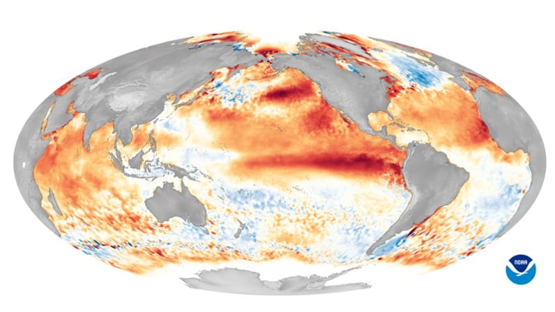 La corrente del Pacifico in un'immagine della Noaa
