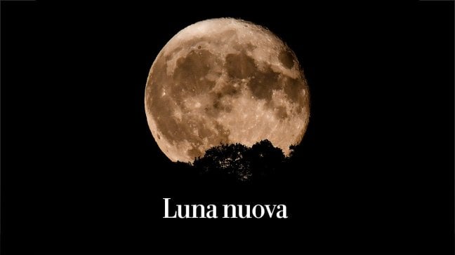 <a href="https://puntoitalia.online/esteri/2023/08/12/news/corsa_alla_luna_russia_usa_guerra_fredda-410772544/">Riparte la sfida per riportare l'umanit&agrave; sul nostro satellite naturale. Si affrontano ancora due blocchi, uno occidentale guidato da Washington e uno orientale, questa volta guidato da Pechino con la Russia al traino</a>