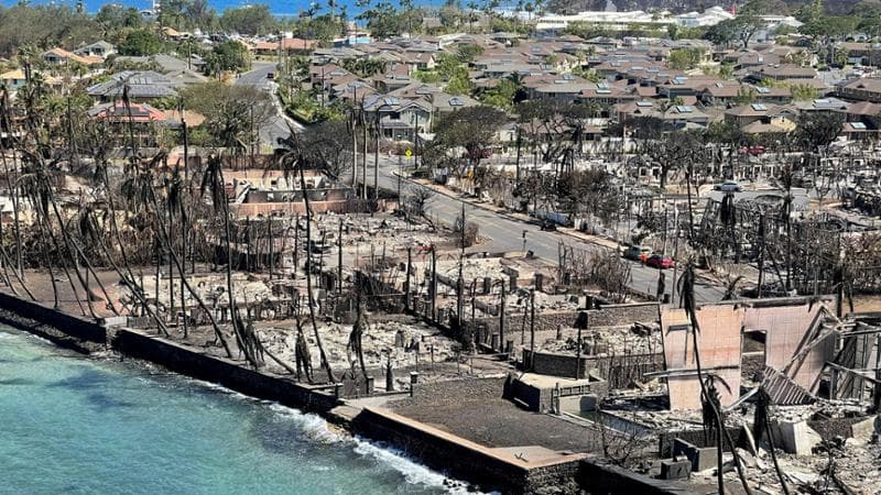 Hawaii, a un mese dalla tragedia i dispersi degli incendi sono ancora 66