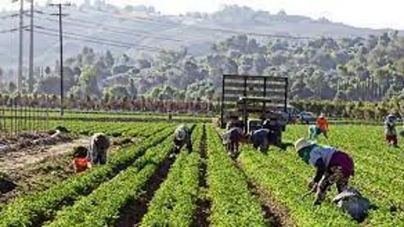 Lavoro e sfruttamento: riflettere su questo significa indagare sul funzionamento del mercato del lavoro ma anche sulla nostra democrazia e sul patto sociale che la ispira