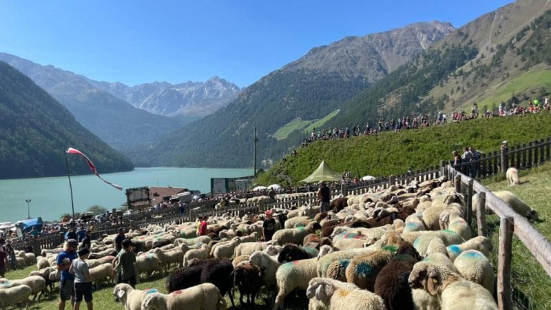 Il sapore antico di un mestiere da difendere