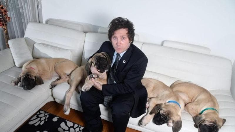 Medium e cani clonati. La solitudine di Milei, “el loco” anarco-liberista che strega l’Argentina