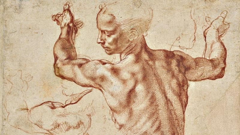 Michelangelo Buonarroti: Studi per la Sibilla Libica (1510-11 circa)
