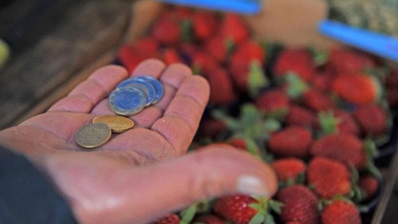Istat, l’inflazione rallenta a settembre: +5,3%. In frenata il carrello della spesa