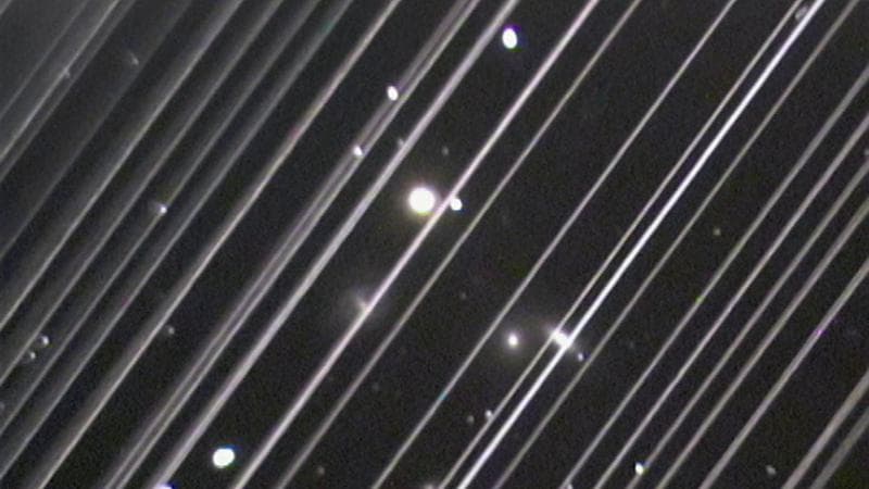 Le scie dei satelliti coprono le stelle. Credit Victoria Girgis/Lowell Observatory
