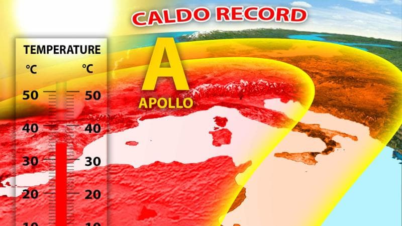 Previsioni meteo, caldo record: il pericolo per flora e fauna. L’ecosistema rischia una paralisi temporale