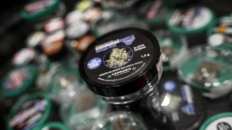 Cannabis light, il ministero della Salute si costituirà in giudizio contro la sentenza del Tar
