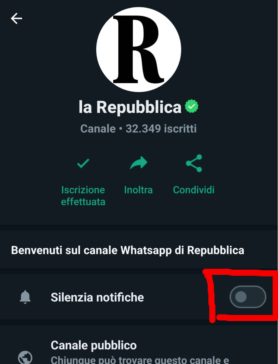 Ecco l'impostazione corretta per ricevere le notifiche: non devono essere silenziate
