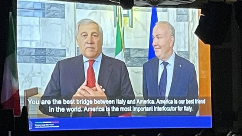 Il ministro degli Esteri Antonio Tajani in videocollegamento
