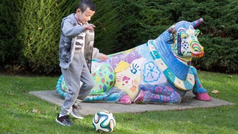 Hassan, un bambino curato con la terapia genica
